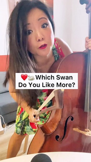 Which swan stole the show? 🦢🎻🎶 Tchaikovsky’s Swan Lake or Saint Saens’ The Swan? Let me know in the comments below! 🤔👇 #ClassicalMusic #CelloPlayer #SwanLake #TheSwan #MusicLovers #
