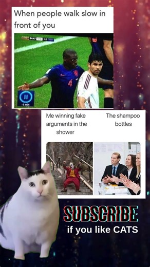 This Cat Meme Will Make You Laugh So Hard!