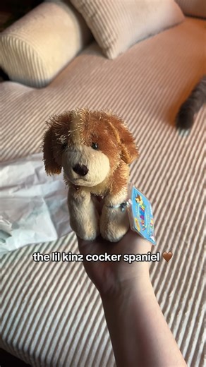 unboxing a lil kinz #webkinz #unboxing #plush #collector