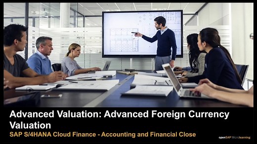 Advanced Valuation: Advanced Foreign Currency Valuation - SAP S/4