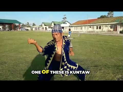 Kuntaw in 2 Minutes | Just The Basics
