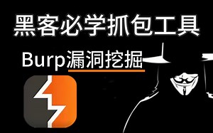 黑客必备工具burpsuite基础使用教程，渗透测试入门必学burp，从入门到入狱，零基础入门网络安全/渗透测试/漏洞挖掘