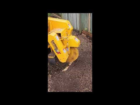 Pinecrest out stump grinding using the Carlton SP5014