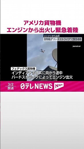 【アメリカ】フェデックス貨物機…バードストライクでエンジンから出火し緊急着陸 #shorts
