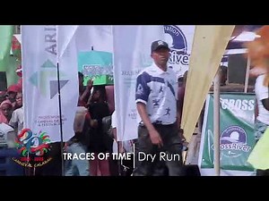 pixel Fox Live Stream