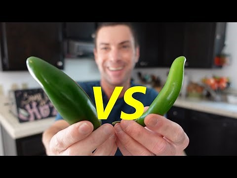 Jalapeno vs Serrano Pepper | Differences & Similarities