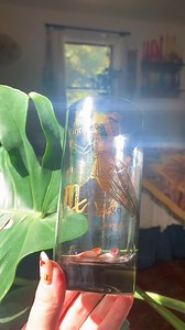 1.4K views · 12 reactions | Zodiac COLLECTION Available at goldnvintage.square.site #zodiac #vintage #eclectic #mcm #vintagestyle #homedecor #eclecticdecor | Golden Vintage | Facebook