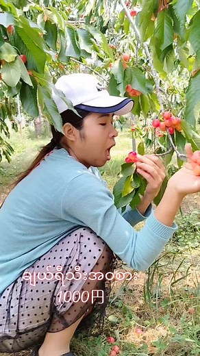 おすすめのアカウント