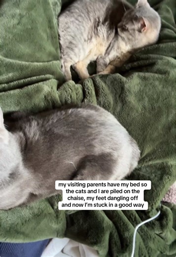 my wild spring break