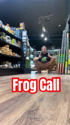 Male frogs calling is one of my favorite noises in the world #reptileshop #tucson #impressions #frog