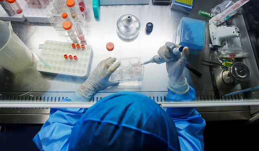 Scientists Make Human-Monkey Hybrid Embryos | National Review