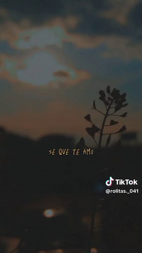 Se Que Te Amo Los Temerarios Letra y Canción Completa