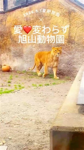 2026.5.1旭山動物園夏期開園