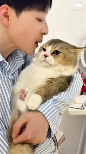 I’m petting my cat, and it’s getting a little grumpy about it so I’m giving it even more love😄 #cat