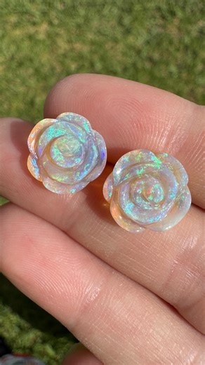 30 days of extraordinary BRM opals: Day 20. What is more exquisite than an Australian opal rose carving? Two of them! These were mined by me at our Russell’s opal mine in western Queensland, Australia. Sue 😊⚒️ #brokenrivermining #opal #tucsongemshow2026 #australianopal #opalminer | Broken River Mining