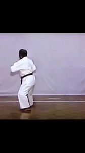 21K views · 474 reactions | Kata Seisan performed by master Seikichi Toguchi, student of Chojun Miyagi and founder of the Shoreikan school of Goju-Ryu. @purokarate | Karate Science | Facebook