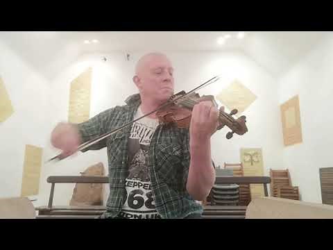 Scottish Fiddle Music; The Rothiemurchus Rant, Dogs Bite Chapmen and The Fairy Dance