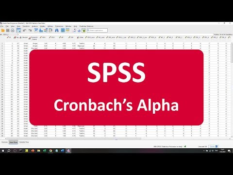 SPSS ile Cronbach's Alpha (Güvenilirlik Analizi)
