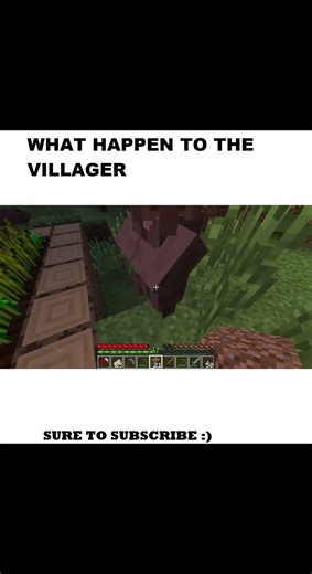 WHAT HAPPEN TO THE VILLAGER IN MINECRAFT