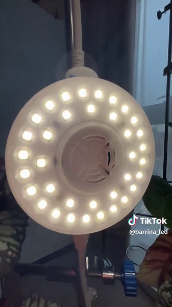 Plant Lights: Transform Your Greenery with Magic