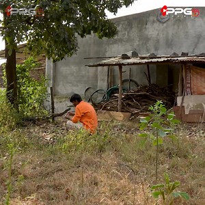 देखना दागिना Part 1 | PPG Films