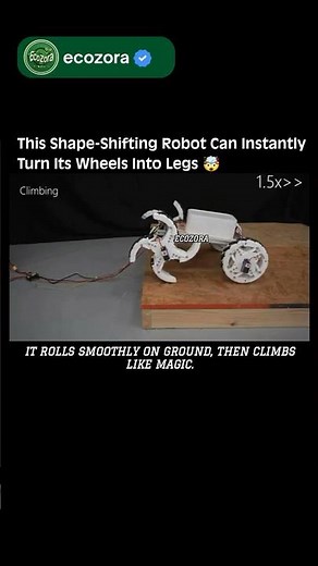 Meet OmniWheg 🤖 The Robot That Walks, Rolls & Climbs. #robotics #innovation #science #technology