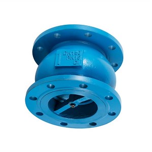 [Hot Item] Water Pump System Flange End Cast Iron Silence Silent Check Valve