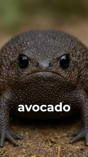 The Frog That Looks Like an Avocado