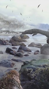 564K views · 10K reactions | Em alguma praia do período jurássico (aproximadamente 150 milhões de anos atrás) um grupo de Plesiosaurus toma sol... Os Plesiosaurus, assim como outros animais marinhos e voadores, não eram dinossauros, pertenciam a grupos diferentes. https://www.instagram.com/academiadecienciasnaturais?igsh=MTZzZ3UxOXlibjdhcg== | Academia de Ciências Naturais | Facebook