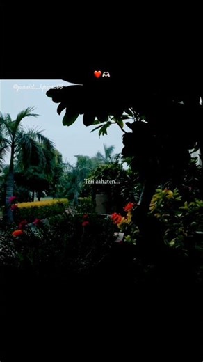 Hum Nashe Mein Toh Nahin ❤️ Heart Touching song 💖#lyricalvideo #shorts #lovestatus #viralsong