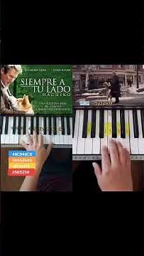 Hachiko - Siempre a Tu Lado / (PIANO TUTORIAL) EASY Piano Fácil Con Números