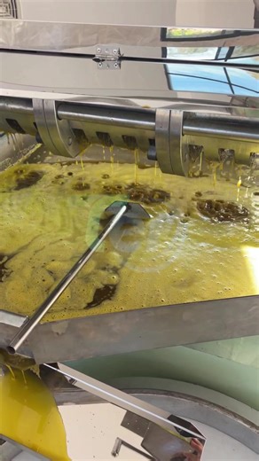 Maximizing Oil Yield with Cold Press Techniques