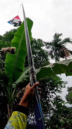 The sensational kite hunting action