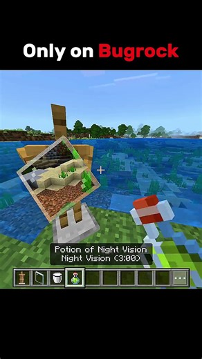 Only on Bugrock 🤡 #minecraft #gaming
