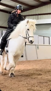 52 reactions | Mjölnir makes us think majestic unicorns just might exist! #lettleikiicelandics #icelandichorse | Léttleiki Icelandics, LLC | Facebook