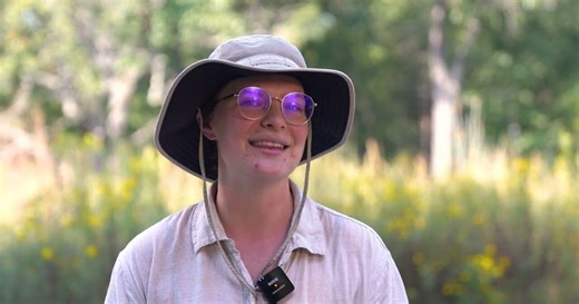 Restored prairie supports monarch butterfly conservation