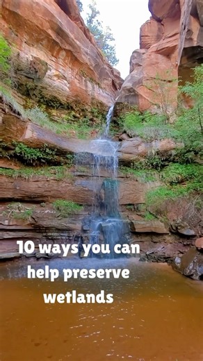 30K views · 366 reactions | Have you hugged a wetland lately? No...