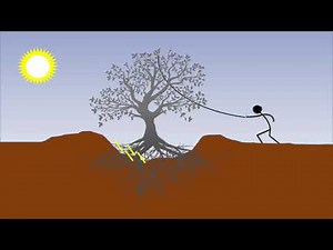 How To Completely Remove A Tree (Even Roots)