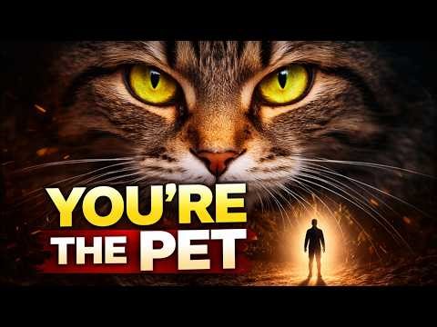 Your Cat Is Manipulating You… And It’s Scientifically Proven