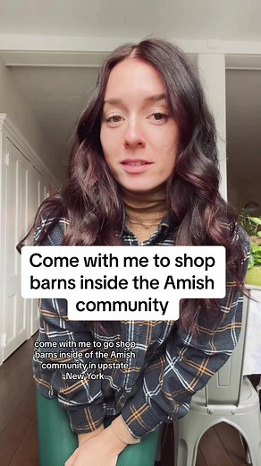 Alex Fasulo on TikTok