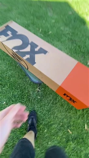 About Damn Time: Dogs Acting Like Paid Actors