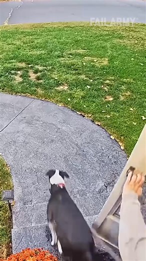 623K views · 3.1K reactions | Funny fails caught on camera #funnyvideo #CCTVCamera #fails | FailArmy | Facebook