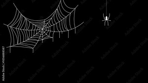 Spider and spider web animation on Halloween theme. Black Halloween video.
