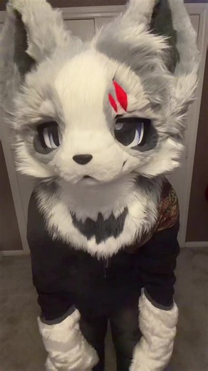#furry #fursuit #fursona #furrycommunity #cute | furry rap