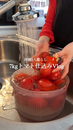万能トマトソース＆パスタレシピ