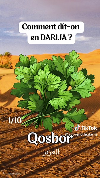 Facile ➡️➡️ IMPOSSIBLE = les herbes aromatiques en darija 🇲🇦 #apprendrelangue #darija #apprendreledarija