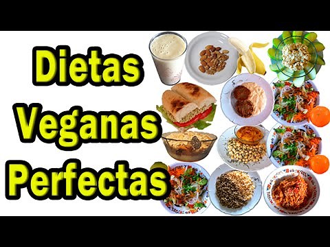 ¿Como diseñar una dieta VEGANA perfecta? (Sin cálculos)