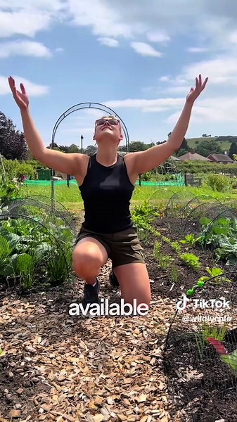 5 Easy Garden Swaps for a Greener Plot