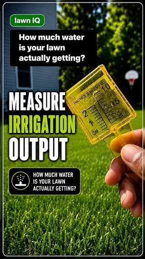 Doing THIS Will Save Your Lawn and Save you Money #water