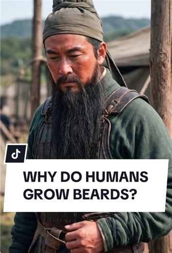 Why Do Humans Grow Beards? Science & History Explained